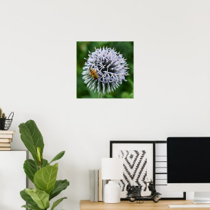 Honigbiene auf Globe Thistle Floral Poster