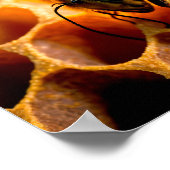 Honigbiene auf Honigwaben. Nah-up-Ansicht Poster (Ecke)