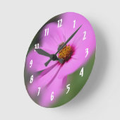 Honigbiene auf Kosmos-Blume Runde Wanduhr (Winkel)