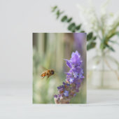 Honigbiene auf Lavendel Postkarte (Stehend Vorderseite)