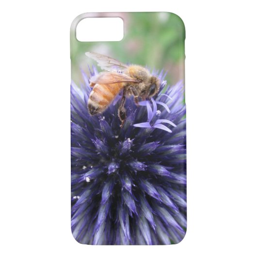 Honigbiene auf Lila Globe Thistle-Blume Case-Mate iPhone Hülle (Rückseite)