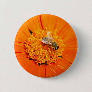 Honigbiene auf orangefarbener Blume Button
