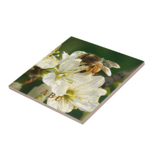 Honigbiene auf Pflaumenblüten Keramikfliese