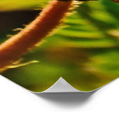 Honigbiene auf Puff-Blume, Ingersoll Zitat Poster (Ecke)