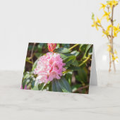 Honigbiene auf rosa Rhododendron Hinweis Karte (Gelbe Blume)
