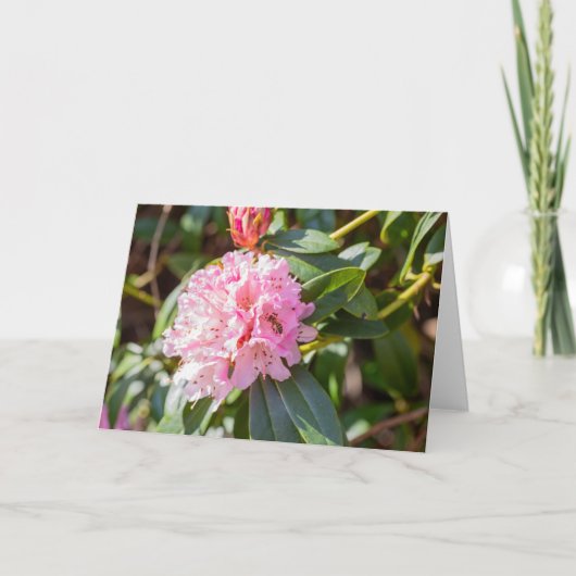 Honigbiene auf rosa Rhododendron Hinweis Karte (Vorderseite)