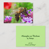 Honigbiene auf Verbene ATC Visitenkarte (Vorne/Hinten)