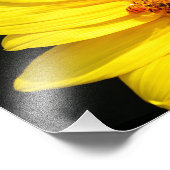 Honigbiene bei einem Besuch einer Sonnenblume Fotodruck (Ecke)