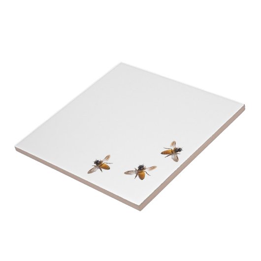 Honigbiene Fliese (Seite)
