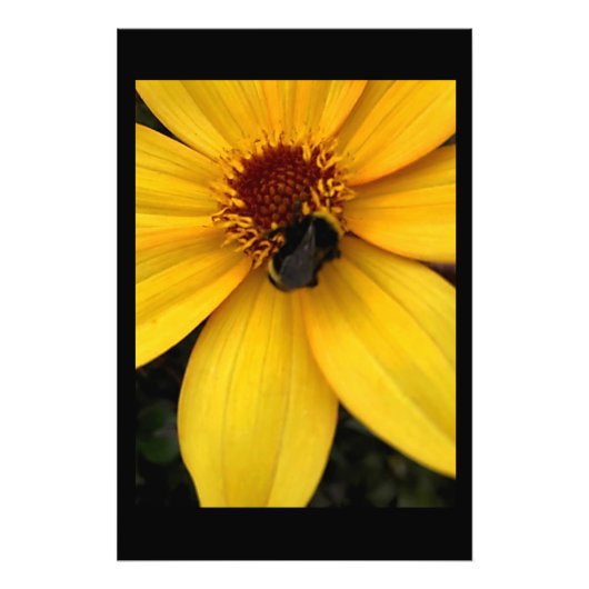 Honigbiene fotodruck (Vorne)