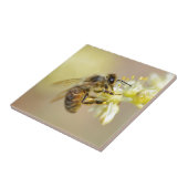 Honigbiene füttre auf Blume Fliese (Seite)