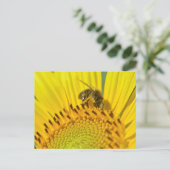 Honigbiene füttre auf Sonnenblume Postkarte (Stehend Vorderseite)