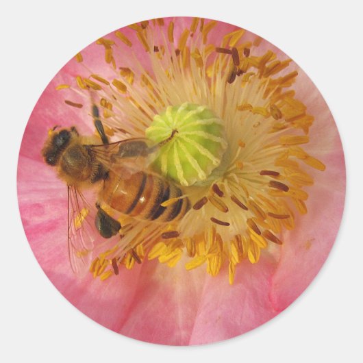 Honigbiene im Mohn Runder Aufkleber (Vorderseite)