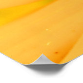 Honigbiene im Zentrum der Dinge Poster (Ecke)