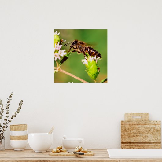 Honigbiene in Aktion Poster (Küche)