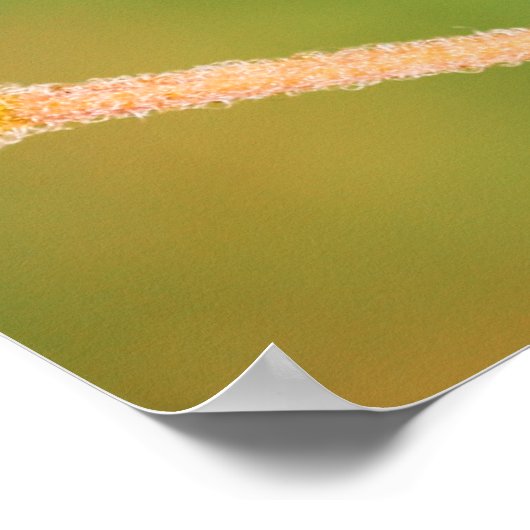 Honigbiene in Aktion Poster (Ecke)