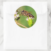 Honigbiene in Aktion Runder Aufkleber (Tasche)