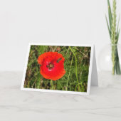 Honigbiene in Red Poppy Card Karte (Vorderseite)