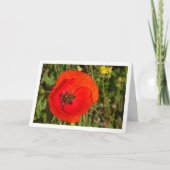 Honigbiene in Red Poppy Card Karte (Vorderseite)