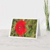 Honigbiene in Red Poppy Karte (Vorderseite)