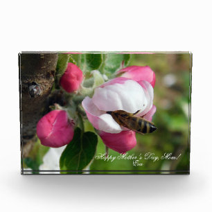 Honigbiene in rosa Apfelblüte Custom PhotoBlock Fotoblock