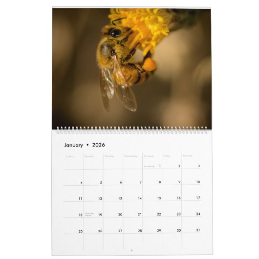 Honigbiene Kalender (Jan 2026)