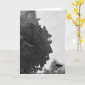 Honigbiene, Karte (Gelbe Blume)