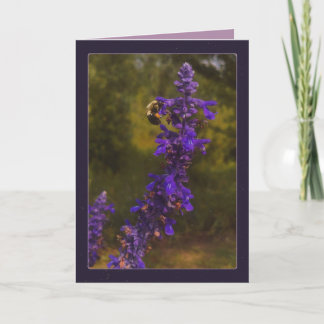 Honigbiene & Lavendel Karte