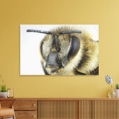 Honigbiene Leinwanddruck (Insitu (Wohnzimmer))