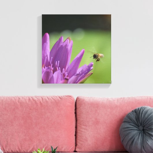 Honigbiene Leinwanddruck (Insitu (Wohnzimmer))