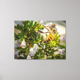 Honigbiene Leinwanddruck Makro-Blumen-Naturkunst