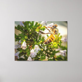 Honigbiene Leinwanddruck | Makro-Blumen-Naturkunst