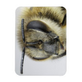 Honigbiene Magnet (Vertikal)