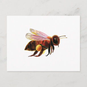 Honigbiene mit ihren Pollenkörben - Illustration Feiertagspostkarte