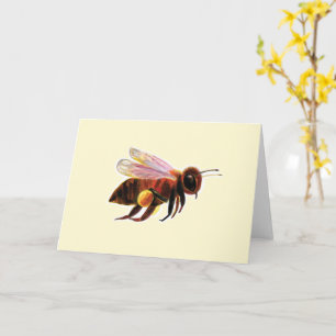 Honigbiene mit ihren Pollenkörben - Illustration Karte