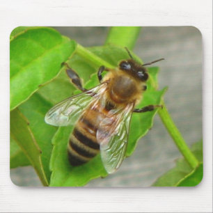 Honigbiene Mousepad
