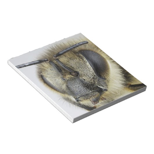 Honigbiene Notizblock (angewinkelt)