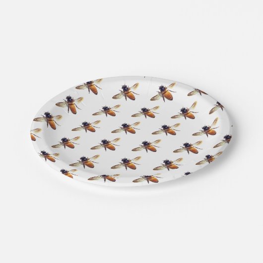 Honigbiene Pappteller (Schrägansicht)