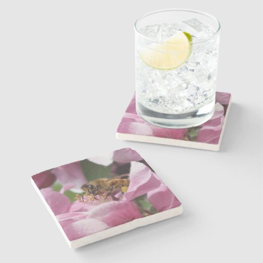 Honigbiene Polinating Pink Crabappaple Blume Steinuntersetzer (Seitenansicht)