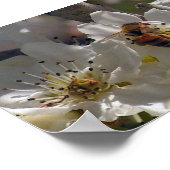 Honigbiene Poster (Ecke)