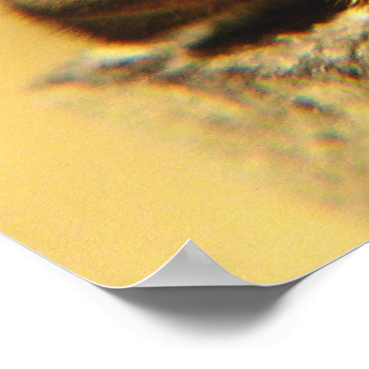 Honigbiene Poster (Ecke)