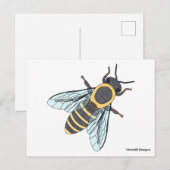 Honigbiene - Postkarte (Vorne/Hinten)