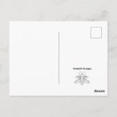 Honigbiene - Postkarte (Rückseite)