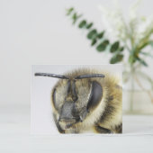 Honigbiene Postkarte (Stehend Vorderseite)