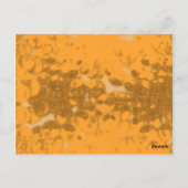 Honigbiene Postkarte (Rückseite)