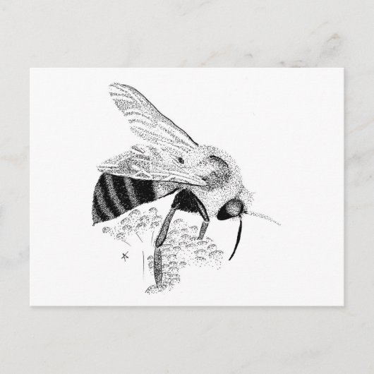 Honigbiene Postkarte (Vorderseite)
