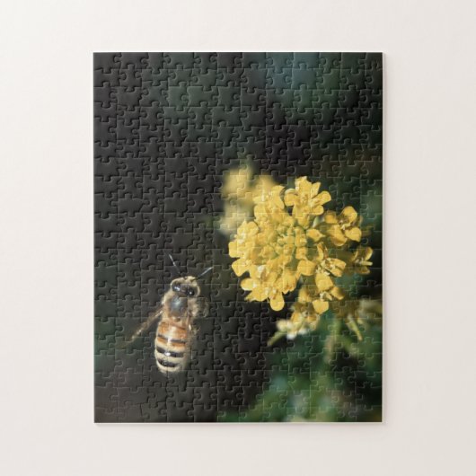Honigbiene Puzzle (Vertikal)