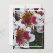 Honigbiene und Alstromerias-Abschlusskarte RSVP Karte (Vorderseite)