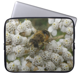 Honigbiene und Blume Laptop-Sieb Laptopschutzhülle