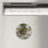 Honigbiene und Blume Magnet (In Situ (Geschirrspüler))